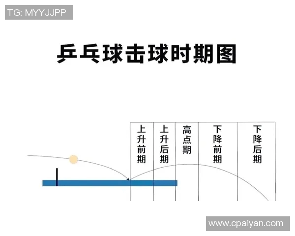 西安乒乓球队的节奏揭秘与训练背后的故事与精神